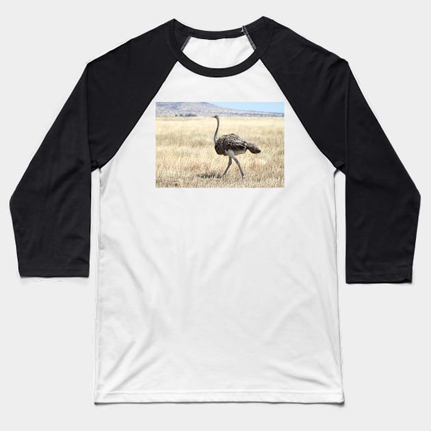 Female Ostrich,  Serengeti, Tanzania Baseball T-Shirt by Carole-Anne